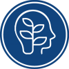 ico5